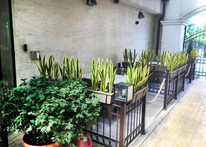 Sea View Free Parking